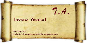 Tavasz Anatol névjegykártya
